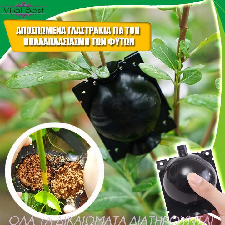 6 Τεμάχια Αποσπώμενα Γλαστράκια Για Πολλαπλασιασμό Φυτών & 20 Κλιψάκια Στήριξης Αναρριχώμενων Φυτών (10 Μικρά & 10 Μεγάλα)